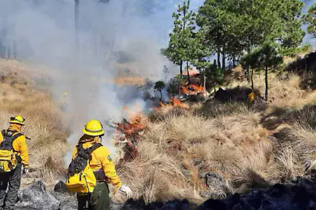 La Conafor reportó 14 incendios forestales activos en Chihuahua con más de 20 mil hectáreas afectadas. Brigadistas continúan combatiendo el fuego en municipios como Madera, Guachochi y Urique.