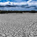 Chihuahua enfrenta una sequía excepcional que afecta a 43 municipios. La Sierra Tarahumara sufre la peor parte, con ríos secos e incendios forestales. Se implementa programa de empleo temporal.