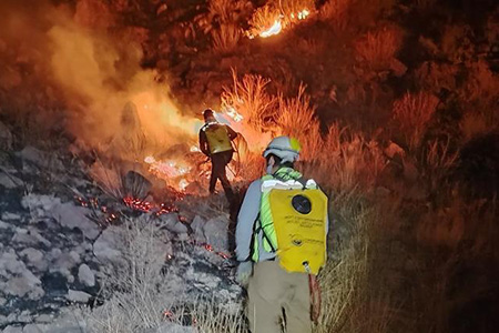 Dos incendios en la Sierra del Mogote, Chihuahua, durante el fin de semana, se investigan como provocados. Videos en redes sociales podrían ser evidencia clave.