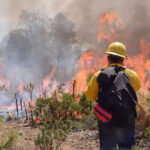 La Reserva de Tutuaca, área natural protegida, sufre por incendios en Chihuahua. El estado reporta 18 focos activos y 50,000 hectáreas afectadas.