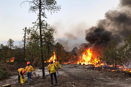 Brigadistas sofocaron incendios en Bocoyna y Batopilas, pero surgieron dos nuevos siniestros en Chihuahua. El incendio en la ANP de Tutuaca ya afecta casi 12 mil hectáreas.