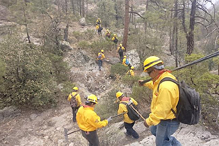 Autoridades reportan once incendios forestales activos en Chihuahua. Brigadistas y cuerpos de seguridad trabajan para contener el fuego en ocho municipios. Se pide a la población reportar humo o fuego.
