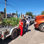 En el Día Mundial del Medio Ambiente, el Gobierno Municipal de Chihuahua recibió árboles para reforestar la región, con apoyo de Grupo San Marcos Verde y la Dirección de Ecología.