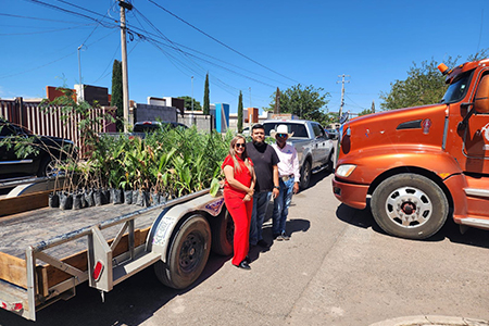 En el Día Mundial del Medio Ambiente, el Gobierno Municipal de Chihuahua recibió árboles para reforestar la región, con apoyo de Grupo San Marcos Verde y la Dirección de Ecología.
