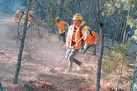 El único incendio forestal activo en Chihuahua fue controlado al 100% en el municipio de Madera. Participaron 191 brigadistas de distintas dependencias. Se han extinguido 480 incendios en 2025.
