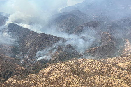 Autoridades estatales y federales combaten siniestros forestales en Chihuahua. Se exhorta a la ciudadanía a evitar encender fuego en áreas naturales.