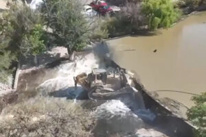 El retiro de presas ilegales en el rancho de César Duarte provocó la desaparición de 100 bisontes. Se investigan causas que van desde desplazamiento por falta de agua hasta posible caza furtiva.