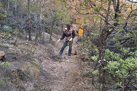 Combaten siniestros forestales en Guadalupe y Calvo, Guazapares y más. Autoridades exhortan a evitar colillas, fogatas y a reportar incendios al 911 o 800 737 0000. La respuesta es interinstitucional.