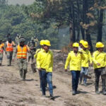 Los incendios forestales en Chihuahua han reducido su intensidad. Actualmente hay siete siniestros activos en distintos municipios, con 68 brigadistas desplegados. El municipio de Moris concentra la mayor afectación con 177 hectáreas impactadas.