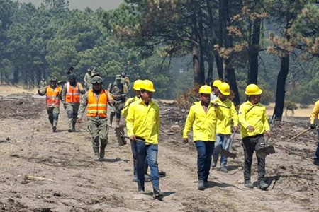 Los incendios forestales en Chihuahua han reducido su intensidad. Actualmente hay siete siniestros activos en distintos municipios, con 68 brigadistas desplegados. El municipio de Moris concentra la mayor afectación con 177 hectáreas impactadas.