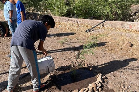 Estudiantes de la Telesecundaria 6120 de Colonia Juárez plantaron 40 árboles como parte de un proyecto de reforestación comunitaria. La campaña busca fortalecer el compromiso ambiental juvenil.
