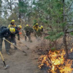 La Conafor informa que los dos incendios forestales activos en Madera, Chihuahua, están a un 90% de ser liquidados. Las lluvias recientes y más de 200 brigadistas ayudaron a controlar el fuego.