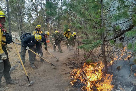 La Conafor informa que los dos incendios forestales activos en Madera, Chihuahua, están a un 90% de ser liquidados. Las lluvias recientes y más de 200 brigadistas ayudaron a controlar el fuego.