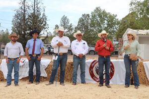 Con gran participación, la Muestra Regional Angus 2025 destacó por sus ejemplares de calidad y su impulso al desarrollo ganadero en Casas Grandes, un evento que refuerza la economía rural.