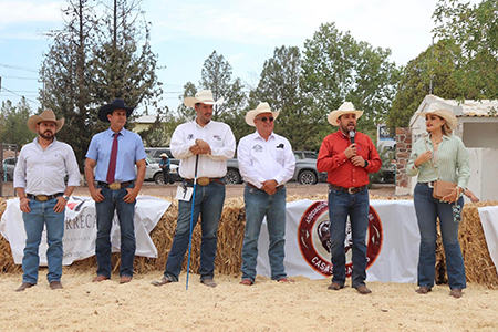 Con gran participación, la Muestra Regional Angus 2025 destacó por sus ejemplares de calidad y su impulso al desarrollo ganadero en Casas Grandes, un evento que refuerza la economía rural.