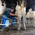Microcréditos accesibles impulsan la productividad del campo en Chihuahua. Desarrollo Rural facilita apoyos para actividades agropecuarias, forestales y acuícolas. Consulta requisitos en línea.