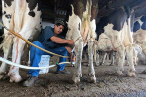 Microcréditos accesibles impulsan la productividad del campo en Chihuahua. Desarrollo Rural facilita apoyos para actividades agropecuarias, forestales y acuícolas. Consulta requisitos en línea.