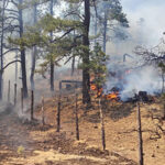La Secretaría de Desarrollo Rural reporta 11 incendios forestales activos en Chihuahua. Brigadistas trabajan en Morelos, Moris, Guadalupe y Calvo, Guerrero, Bocoyna, Guachochi y Ocampo.