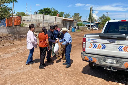 Protección Civil entrega apoyos a familias de Buenaventura tras lluvias intensas. Se distribuyen despensas del DIF Estatal y se evalúan daños en viviendas. En Creel se registraron 44 mm de lluvia.