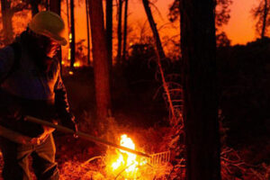 Conafor reporta cinco incendios forestales activos en Chihuahua, en Guadalupe y Calvo, Guachochi y Maguarichi. Ya se controlaron varios siniestros que afectaban 143 hectáreas.