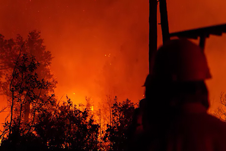 La Sierra de Chihuahua registra 10 incendios forestales activos con casi 600 hectáreas afectadas. Brigadistas combaten el fuego en Guadalupe y Calvo, Guachochi, Madera y otros municipios.