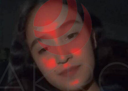 Buscan a Brenda Judith, desaparecida en Ascensión. Fue vista el domingo con otro menor. La familia pide ayuda para su localización. Llama a los números proporcionados.