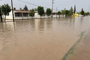 Diputado de Morena pide declarar emergencia por lluvias en Chihuahua. Solicita acceso a fondos estatales y federales para apoyar a damnificados y reparar daños en más de 20 municipios afectados.