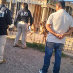 Autoridades de Nuevo Casas Grandes multaron con 5 mil pesos a un ciudadano por maltrato animal tras hallarse dos perritas abandonadas e infestadas de garrapatas. La denuncia ciudadana activó la intervención de Ecología, AEI y la asociación Paw-Quime.