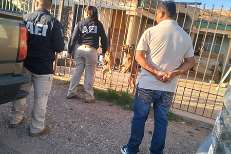 Autoridades de Nuevo Casas Grandes multaron con 5 mil pesos a un ciudadano por maltrato animal tras hallarse dos perritas abandonadas e infestadas de garrapatas. La denuncia ciudadana activó la intervención de Ecología, AEI y la asociación Paw-Quime.