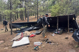 La SSPE destruyó un campamento presuntamente criminal en Madera, Chihuahua. Ubicado con dron y confirmado por patrullas SWAT, el sitio tenía insumos, cobijas y paneles solares. Patrullajes continúan.