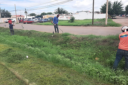 Limpieza y corte de hierba se realizaron en canal de calle Alamedas. Gobierno Municipal busca evitar focos de infección y mejorar flujo de agua en zonas verdes.