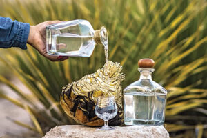 El sotol, destilado ancestral de Chihuahua, está ganando popularidad internacional por su sabor único y su profundo vínculo con el desierto mexicano. Descubre su historia y origen auténtico.