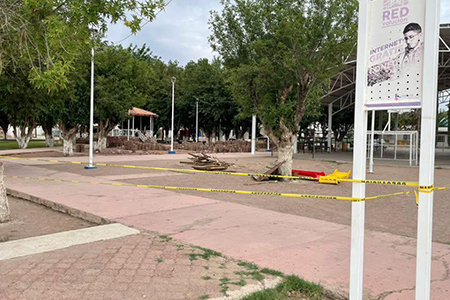 La Presidencia Municipal de Janos arrancó trabajos de reconstrucción en la Plaza Municipal, con el objetivo de mejorar la infraestructura y brindar mejores espacios públicos a la ciudadanía.