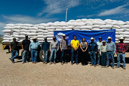 El Gobierno Municipal de Galeana entregó maíz rolado a 27 ganaderos del municipio. La medida busca apoyar al sector agropecuario y mitigar los efectos de la sequía en la alimentación del ganado.