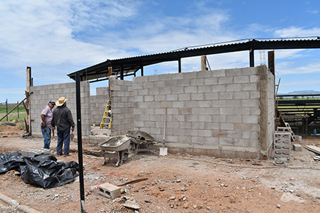 El Gobierno de Nuevo Casas Grandes avanza en la rehabilitación del Campo de Softball con mejoras en baños, gradas, techumbre y áreas recreativas para beneficio ciudadano.
