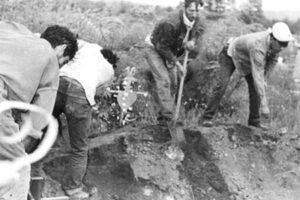 En la Feria Nacional del Libro de Zacatecas presentarán La guerrilla de 1965 en Madera, Chihuahua, obra que analiza este episodio clave en la historia política de México.