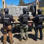 La SSPE aseguró armas, droga, equipo táctico y vehículos robados durante un operativo en Guadalupe y Calvo. Entre lo incautado destacan fusiles, explosivos, uniformes tipo militar y mercancía ilícita. Todo quedó a disposición de las autoridades competentes.
