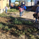 El municipio de Janos continúa con el programa de Ocupación Temporal 2025, en coordinación con el Gobierno del Estado y la Secretaría de Desarrollo Humano.