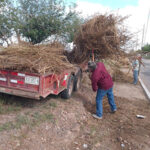 Noticias