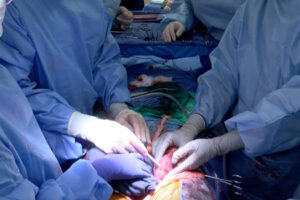 La FDA aprobó el inicio de ensayos clínicos con EGEN-2784, un riñón porcino genéticamente modificado para pacientes con enfermedad renal terminal.