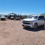 Fiscalía recupera dos cabezas de ganado robadas en Casas Grandes Noticias