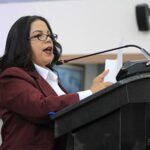 Plantean supervisar Roblox y Free Fire por riesgos para menores Noticias