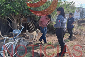La AEI aseguró a dos perros víctimas de presunto maltrato animal en la colonia Villahermosa de Nuevo Casas Grandes. Los caninos fueron resguardados por Pawquime.