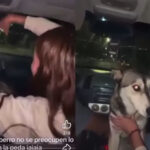 Expulsa UPNECH a estudiante en Madera por embriagar a un perrito Noticias