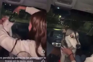 La UPNECH expulsó definitivamente a una estudiante de la Unidad Madera tras difundirse un video donde aparece dando cerveza a un perrito husky. La universidad condenó el acto y reafirmó su compromiso con la ética y el respeto a la vida.