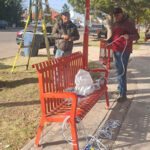 Nuevo Casas Grandes inició sus festividades con el concurso Encendamos los Sueños. Escuelas decoran árboles navideños y el gran encendido será el 1º de diciembre.