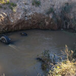 La Fiscalía de Chihuahua identificó a Fredy B. H., de 30 años, como el hombre que murió junto a una mujer cuando su vehículo cayó al canal de la Laguna Fierro en Nuevo Casas Grandes. Autoridades continúan investigando las causas del accidente.