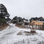 Las temperaturas bajo cero llegaron a la Sierra Tarahumara; Guachochi, Bocoyna y Guadalupe y Calvo amanecieron cubiertos de escarcha.