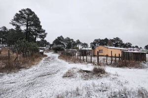 Las temperaturas bajo cero llegaron a la Sierra Tarahumara; Guachochi, Bocoyna y Guadalupe y Calvo amanecieron cubiertos de escarcha.
