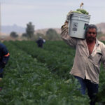 Claudia Sheinbaum aseguró que el acuerdo hídrico del Río Bravo con Estados Unidos no afectará a los agricultores del norte de México.